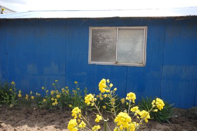 塩屋の青5.jpg