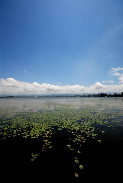 夏の柴山潟.jpg