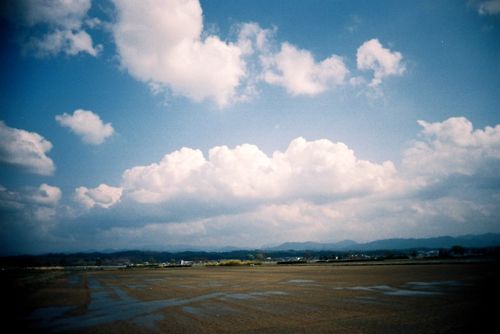 春の木場潟1.jpg