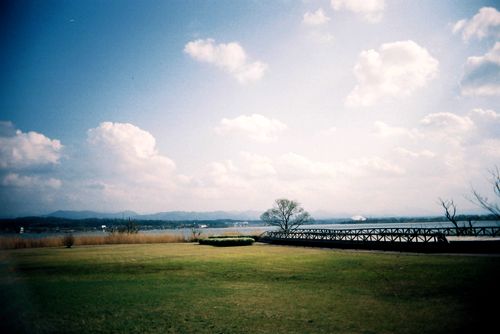 春の木場潟4.jpg