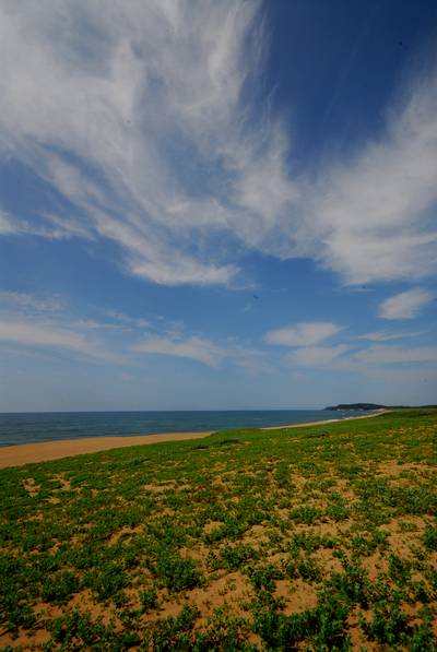 初夏の塩屋海岸4.jpg