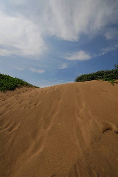 初夏の塩屋海岸5.jpg