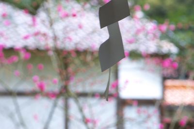 小松天満宮1.jpg