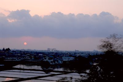 水田2.jpg