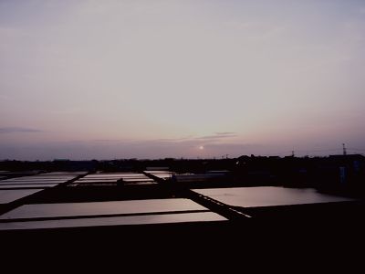 水田4.jpg