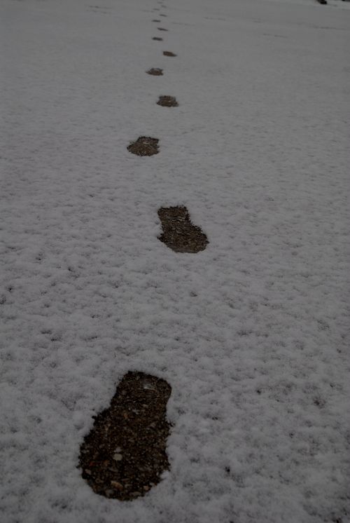雪の金沢21世紀美術館3.jpg