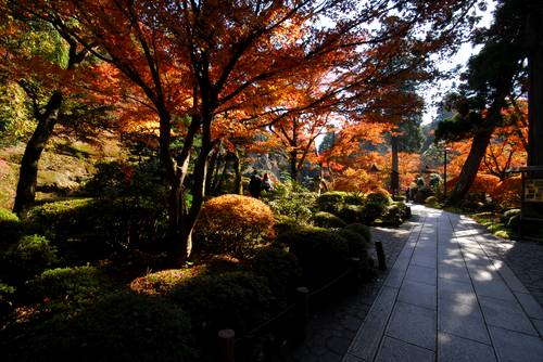 那谷寺1130-3.jpg