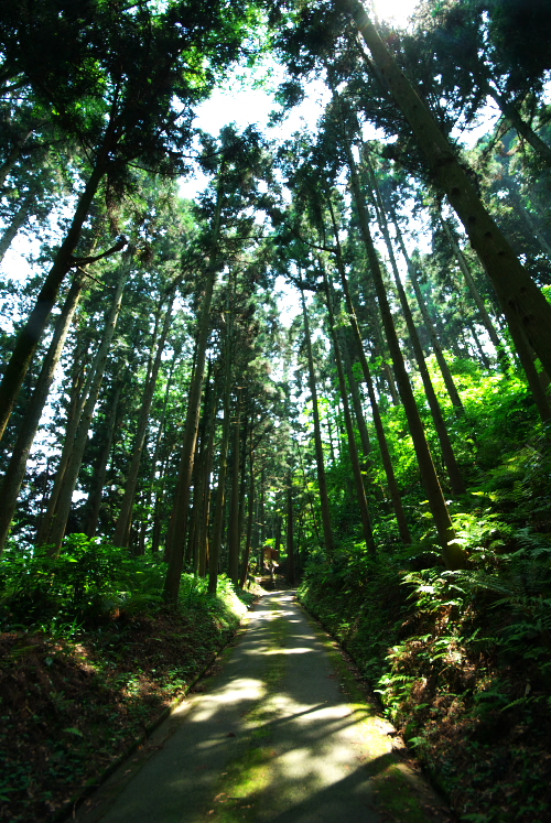 DSC_9752.jpg