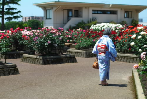 薔薇は美しい5.jpg