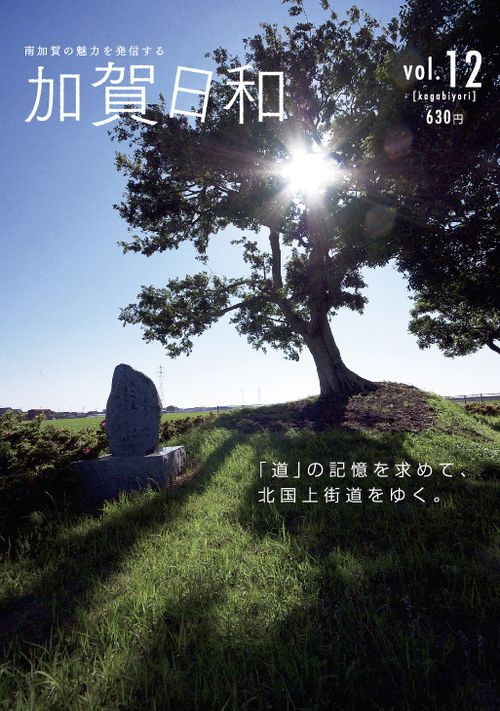 vol12.jpg